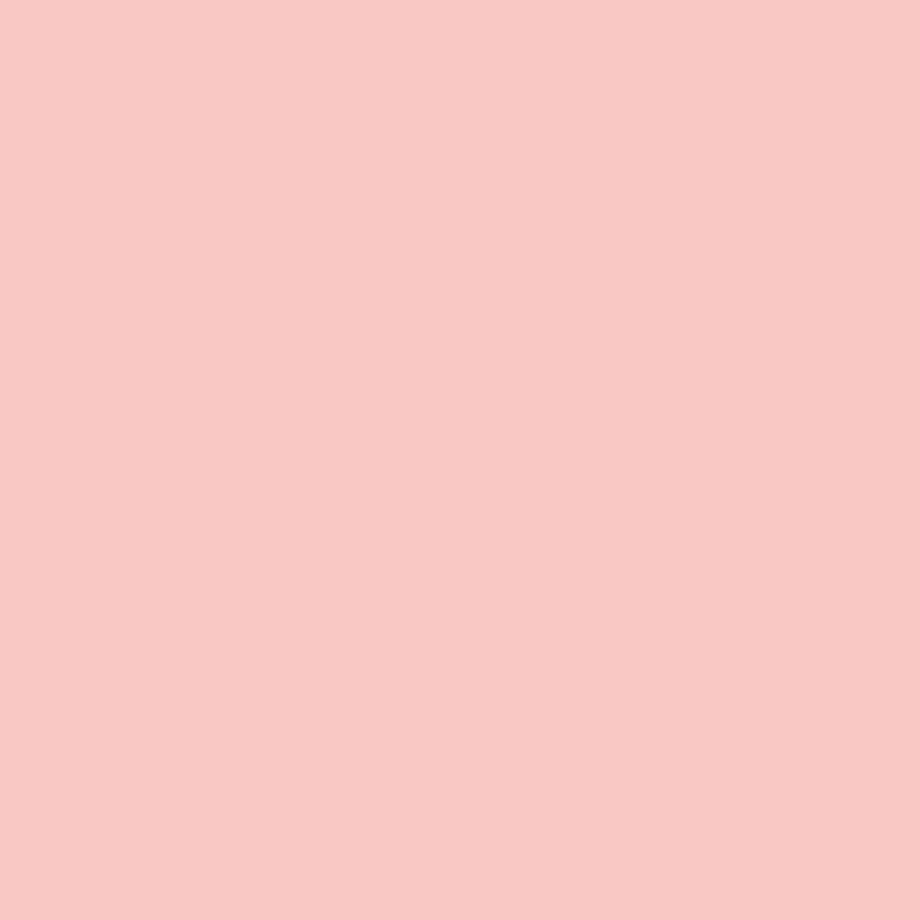 Clay Pink LACQUER
