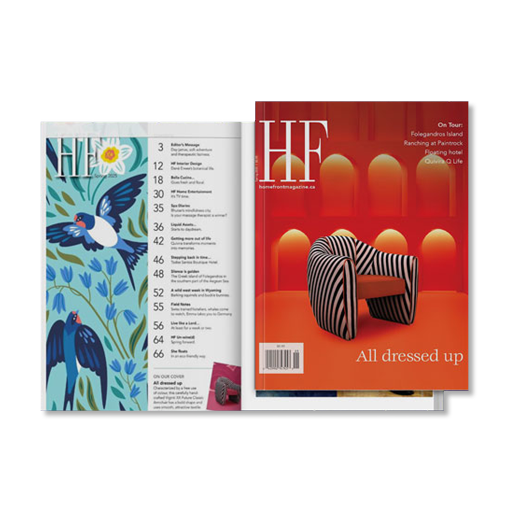 HF 2025 magazine featuring the Viginti XX armchair in striped black and white fabric and orange velvet.